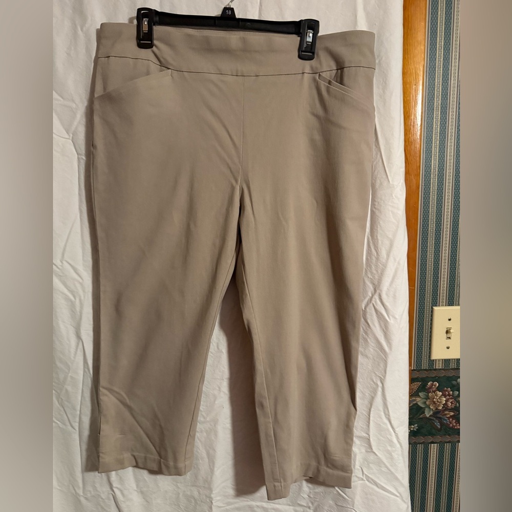 Chico's Perfect Stretch Pants
